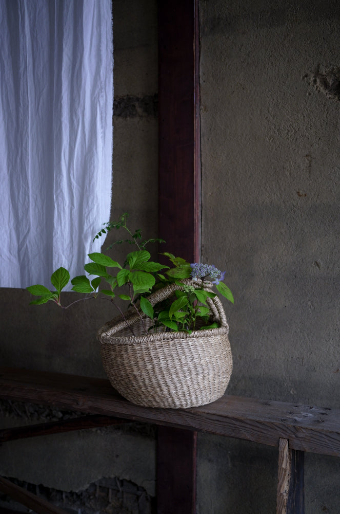 flower basket