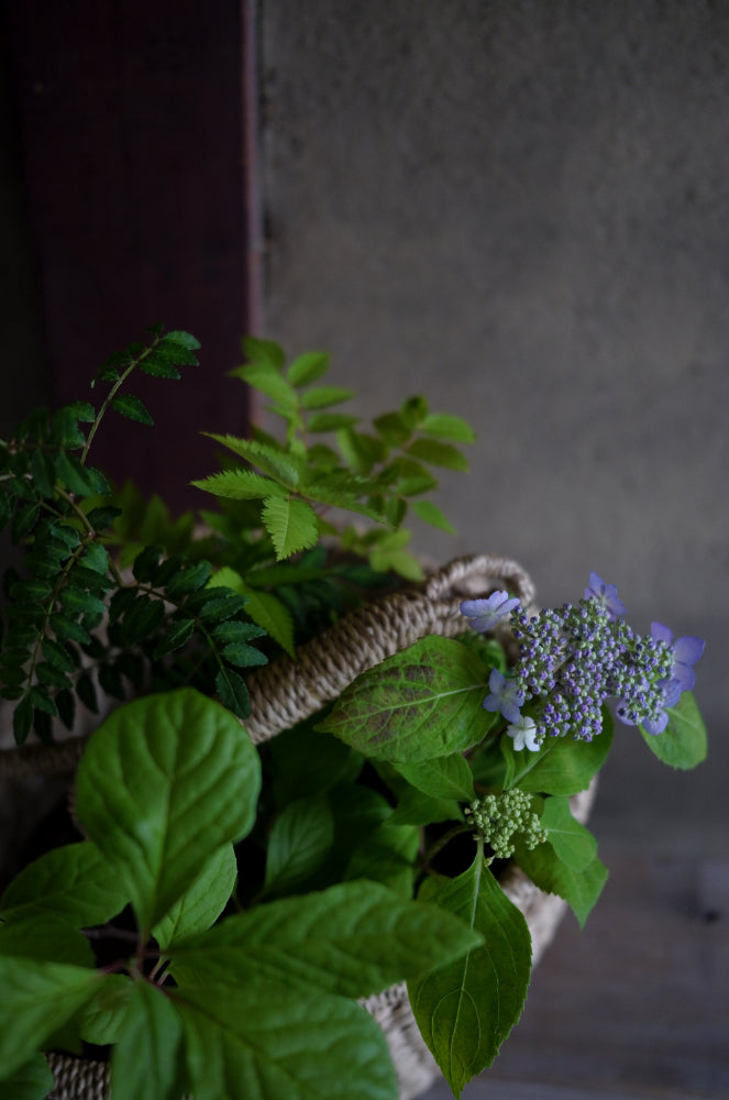 flower basket