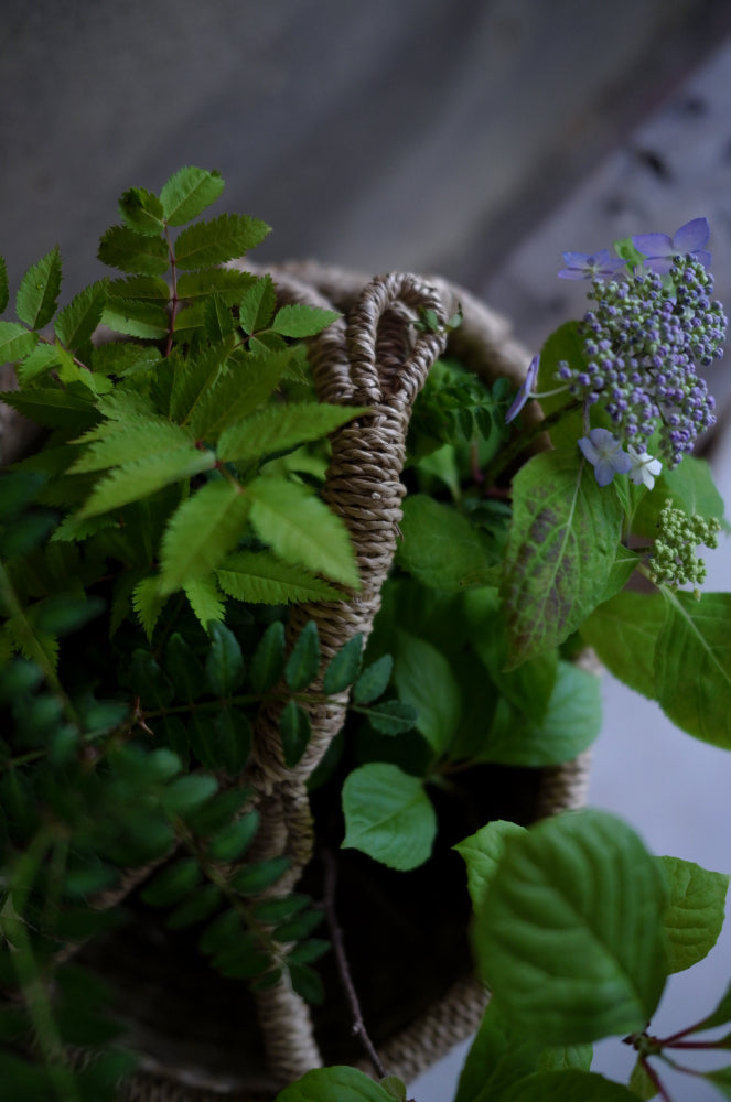 flower basket