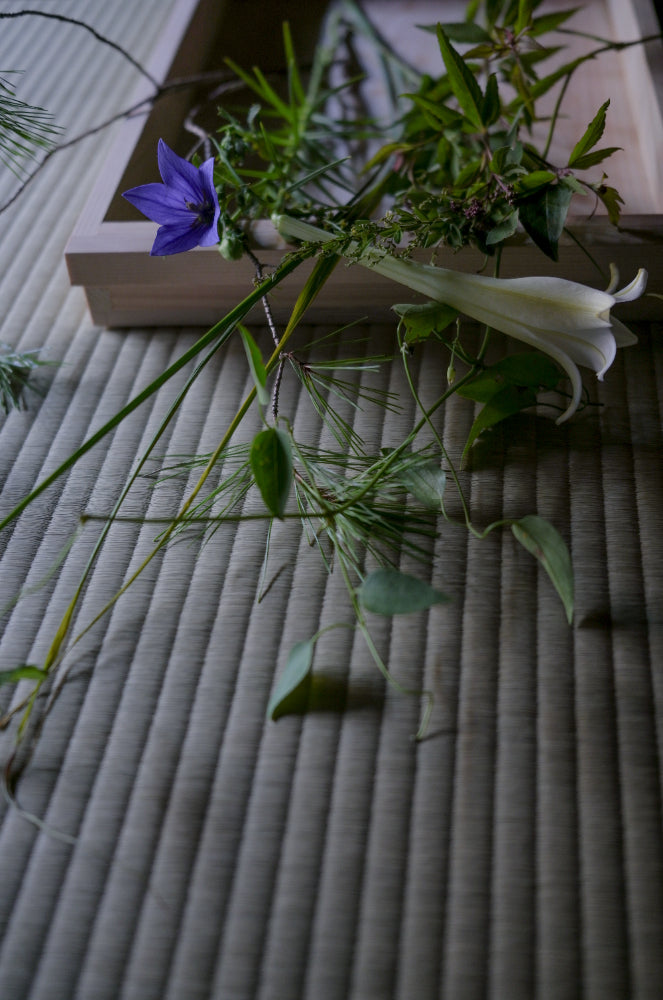 Meeting, Yoka