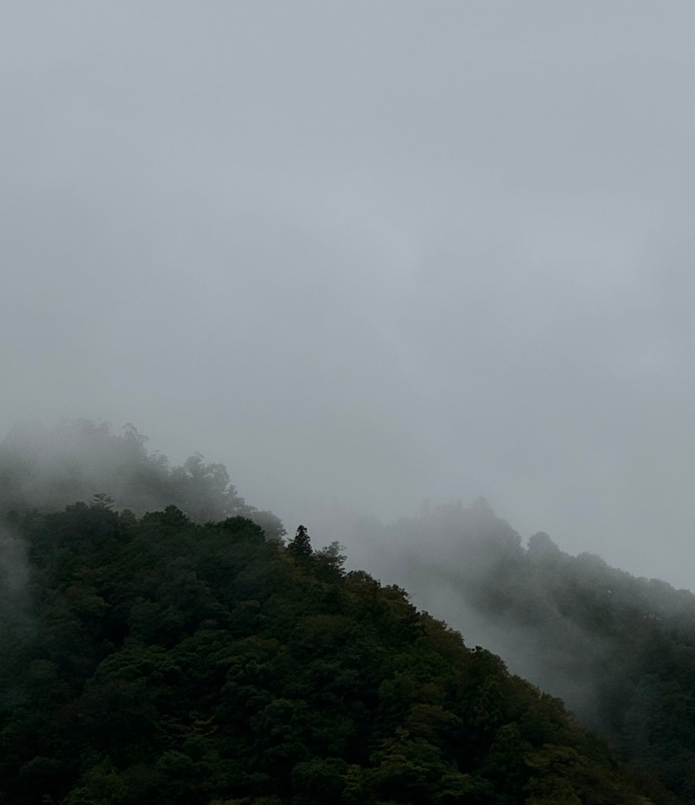 休むデザインと、いのちのリズムを整える