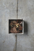Scents of Landscape – 山粧う