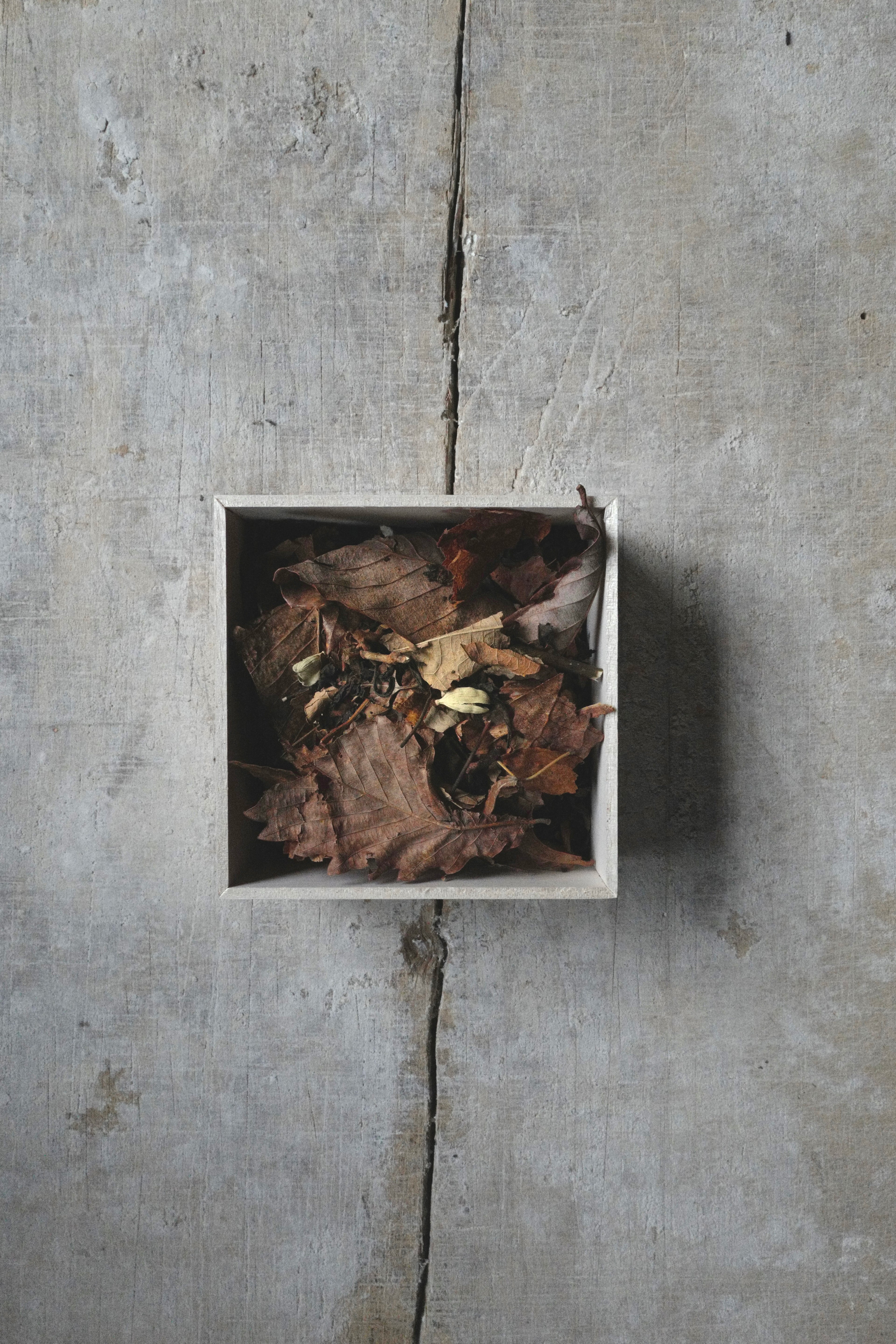 Scents of Landscape – 山粧う