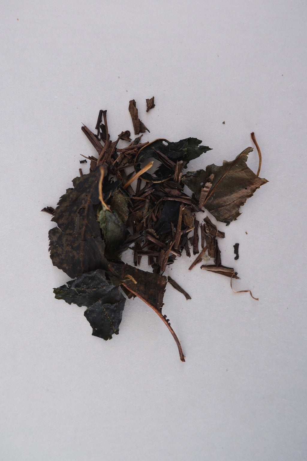 櫻花和黑文字焙茶的發酵