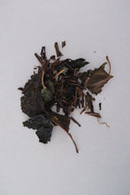 櫻花和黑文字焙茶的發酵