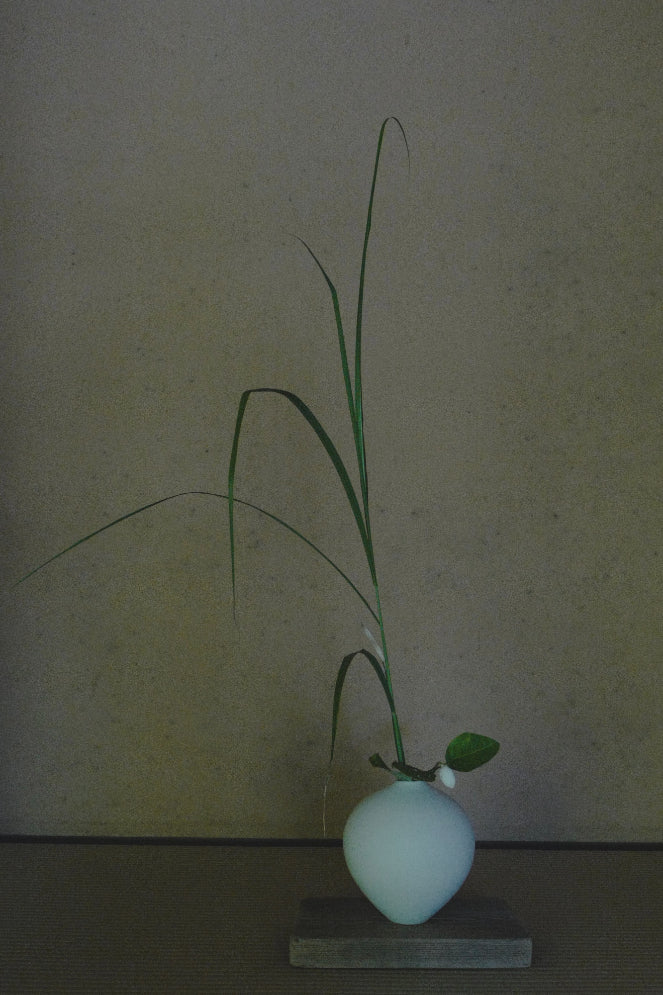 Private Flower Meditation & Incense Sessions　Kyoto