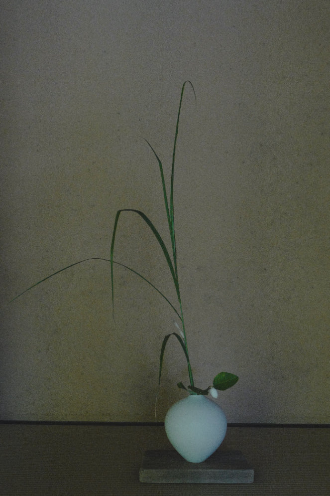 Meeting, Yoka 