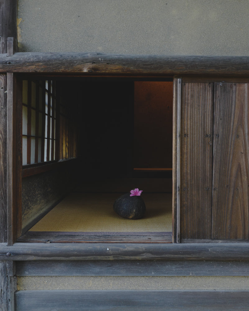 一花一会