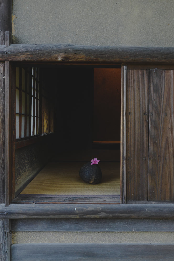 Meeting, Yoka 
