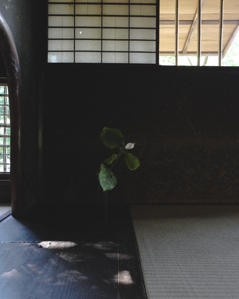 Meeting, Yoka 