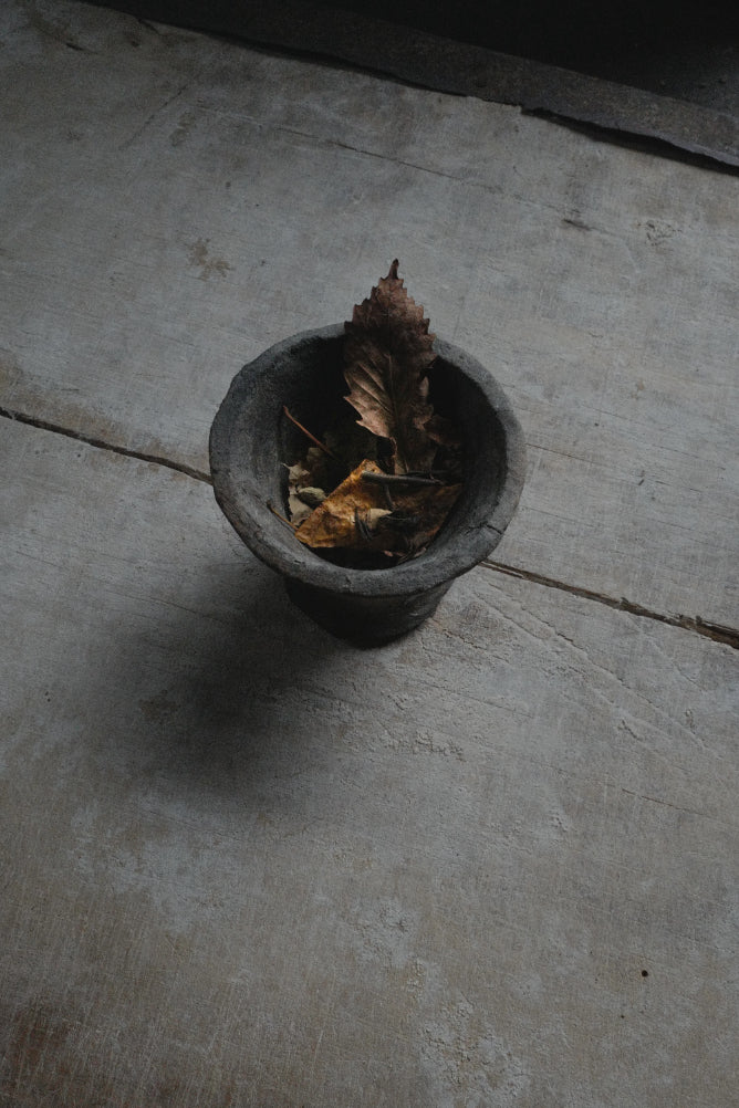 Scents of Landscape – 山粧う