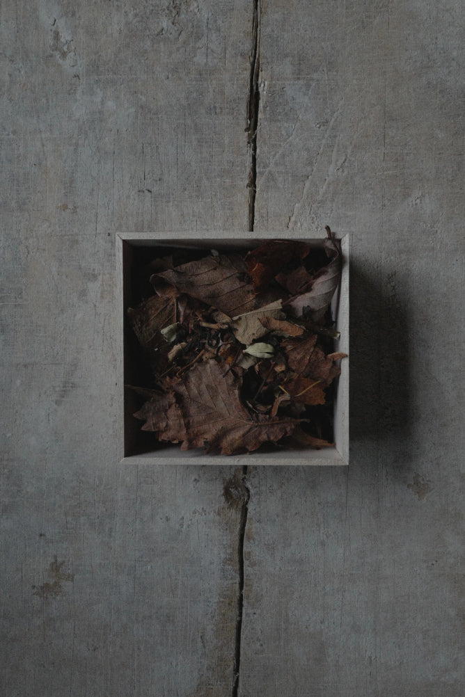 Scents of Landscape – 山粧う