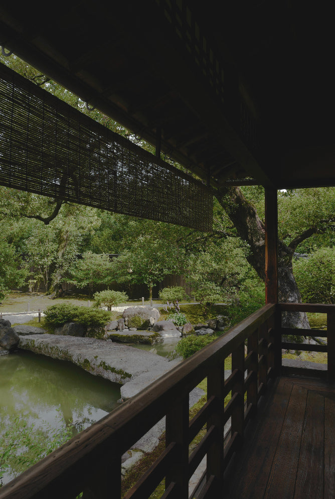 Seasonal Flower Ritual in Kyoto