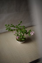 山間花束
