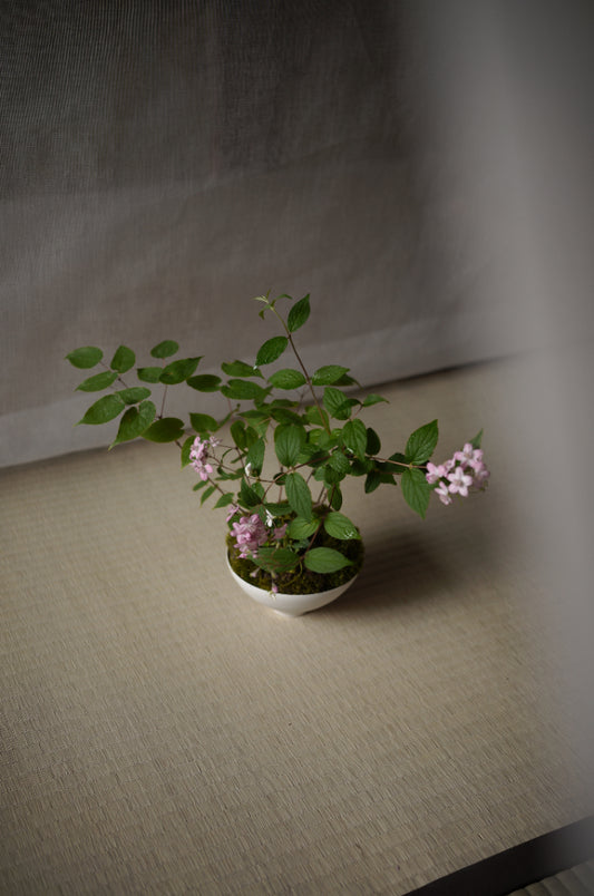 山の花束