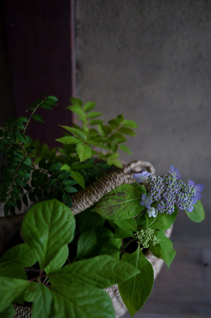 flower basket 