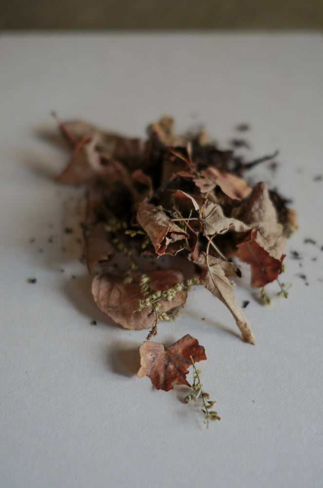 枇杷花チャイ　本草花茶　SHIYA　オーガニック
