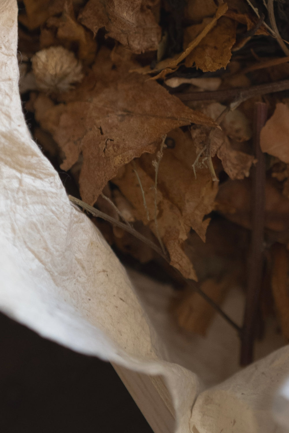 Botanical Potpourri　落ち葉