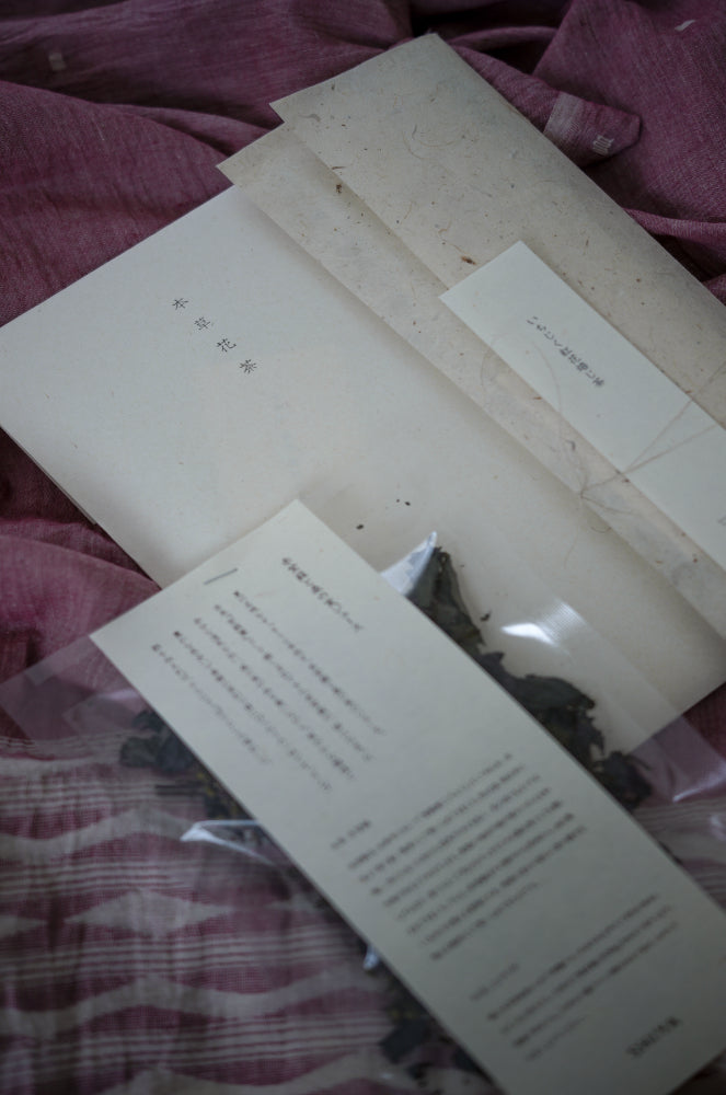 Herbal tea monthly newsletter