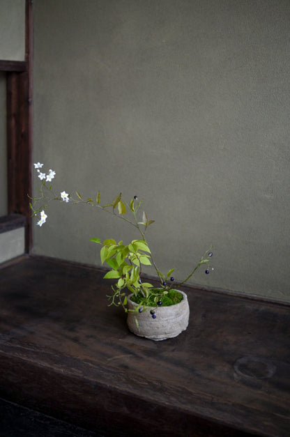 Mountain bouquet 