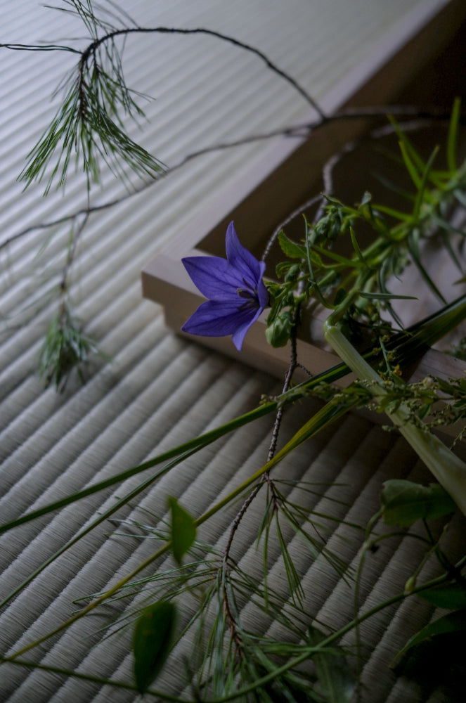 会、花と呼吸