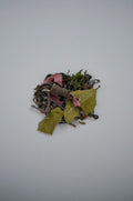 木花咲茶