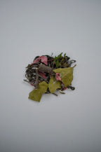 木花咲茶