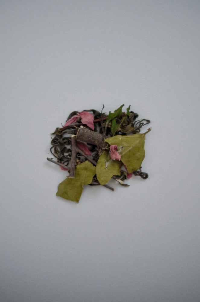 木花咲茶
