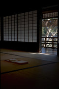 Seasonal Flower Ritual in Kyoto