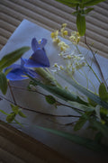 Accompanying Flowers
